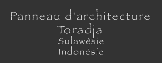 toraja indon&eacute;sie