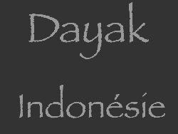 dayak